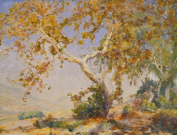 Main Product Photo of California Sycamore Painting by Mathias J Alten