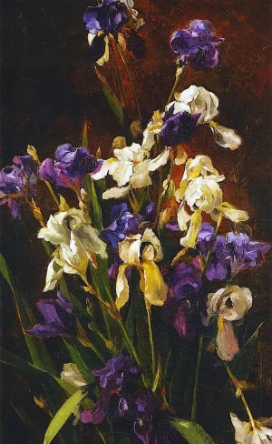 Irises painting by Mathias J Alten