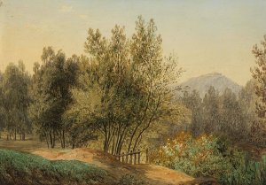 Landscape by Matthias Rudolf Toma Oil Painting
