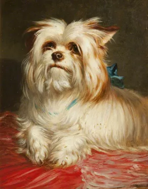 A Yorkshire Terrier painting by Maud Earl