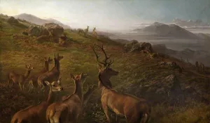 Red Deer, Early Morning by Maud Earl Oil Painting
