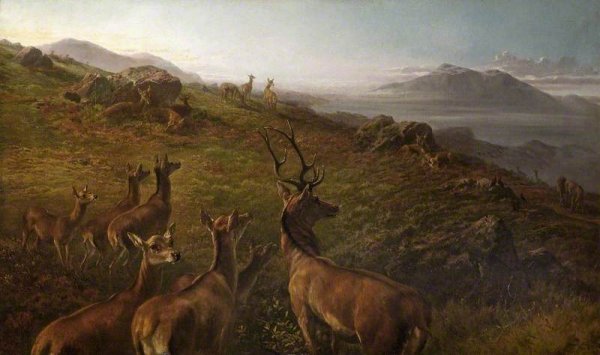 Main Product Photo of Red Deer, Early Morning Painting by Maud Earl