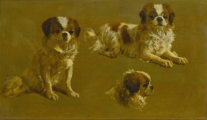 Study Of A King Charles Spaniel by Maud Earl Oil Painting