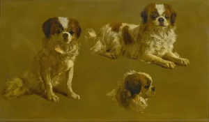 Study Of A King Charles Spaniel by Maud Earl Oil Painting