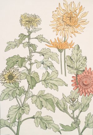 Chrysantheme by Maurice Pillard Verneuil Oil Painting