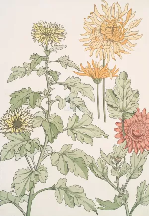 Chrysantheme by Maurice Pillard Verneuil Oil Painting