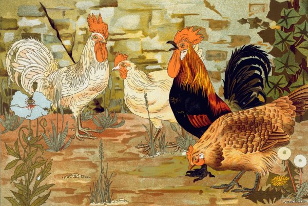 Coqs et poules.  by Maurice Pillard Verneuil - Hand-Painted Oil Painting Reproduction