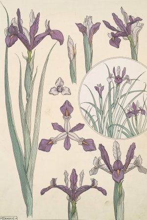 Iris by Maurice Pillard Verneuil Oil Painting
