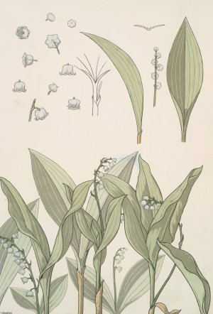 Muguet by Maurice Pillard Verneuil Oil Painting