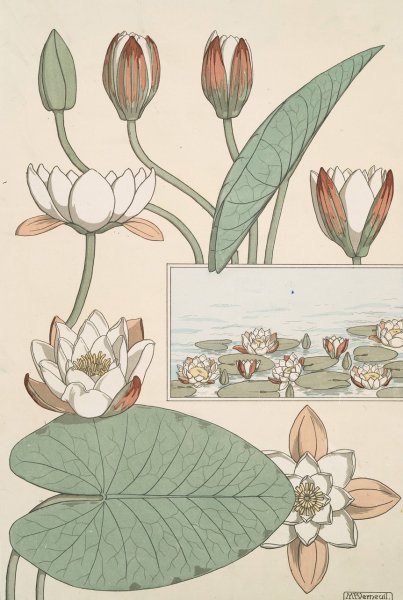 Nenuphar  by Maurice Pillard Verneuil - Hand-Painted Oil Painting Reproduction