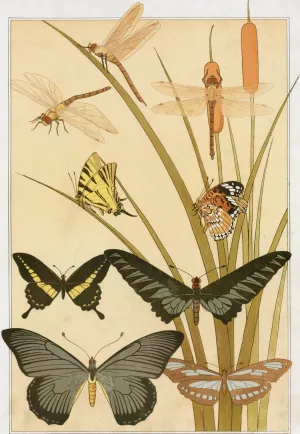Papillons by Maurice Pillard Verneuil Oil Painting