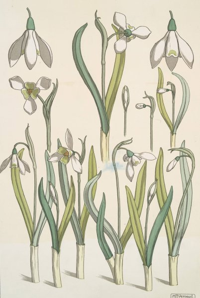 Perce-neige  by Maurice Pillard Verneuil - Hand-Painted Oil Painting Reproduction