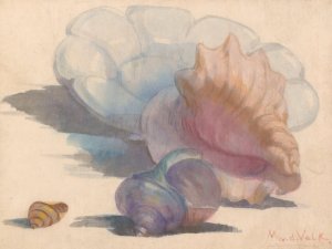 Drie schelpen bij een Delftse plooischotel by Maurits Van Der Valk Oil Painting