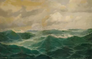 Mowen uber einer bewegten Seelandschaft by Max Jensen Oil Painting