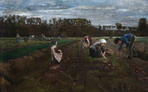 Potato Harvest by Max Liebermann Oil Painting