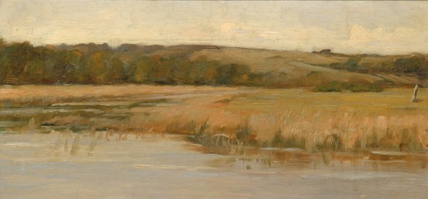 Main Product Photo of Hill And Marshland Painting by Max Weyl