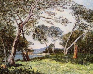 The Pines of the Ile St. Morah by Maxime Maufra Oil Painting