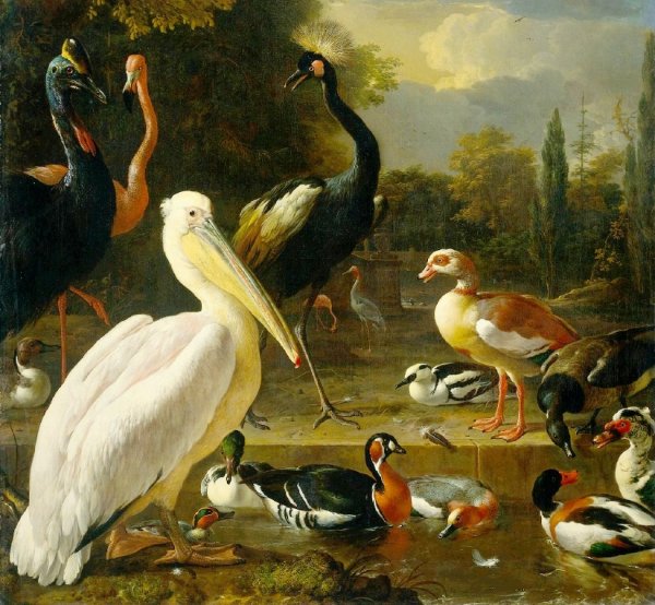 Main Product Photo of Birds in a Park Painting by Melchior Hondecoeter