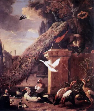 Peacocks and Ducks by Melchior Hondecoeter - Oil Painting Reproduction