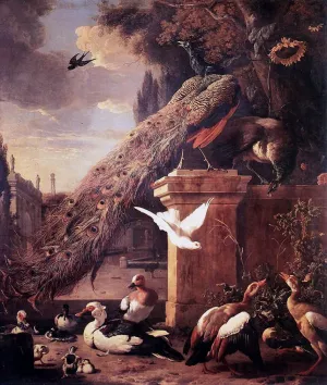 Peacocks and Ducks Oil painting by Melchior Hondecoeter