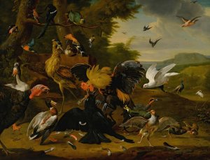Aesop's fable of the raven by Melchior De Hondecoeter Oil Painting