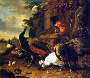 Birds in a Park by Melchior De Hondecoeter Oil Painting