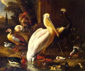 Birds in a Park by Melchior De Hondecoeter - Oil Painting Reproduction