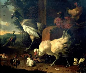 Domestic Fowl with a Pheasant and Peacocks by Melchior De Hondecoeter - Oil Painting Reproduction