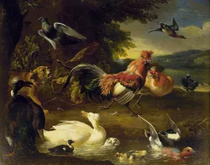 Hens and Ducks by Melchior De Hondecoeter - Oil Painting Reproduction