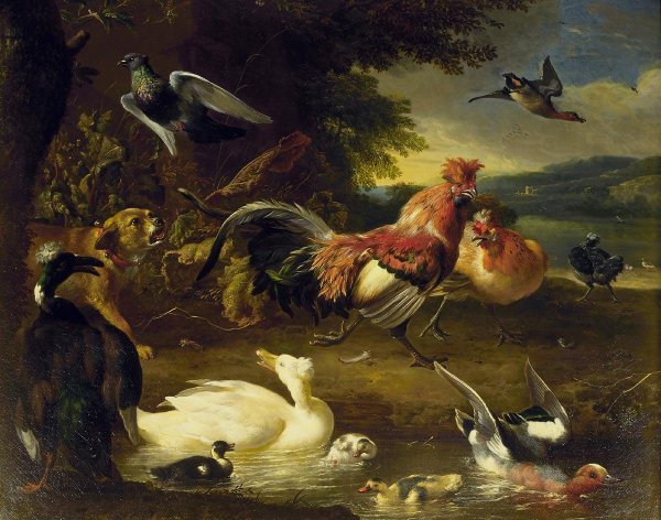 Main Product Photo of Hens and Ducks Painting by Melchior De Hondecoeter