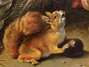 Red Squirrel and a Nut