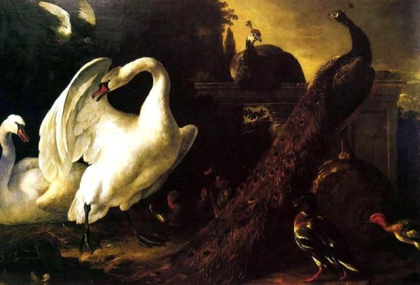 Swans and Peacocks by Melchior De Hondecoeter - Hand-Painted Oil Painting Reproduction