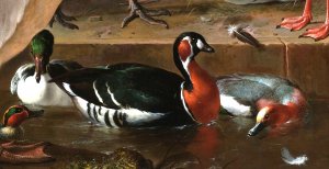 The Floating Feather, Detail #2 by Melchior De Hondecoeter Oil Painting