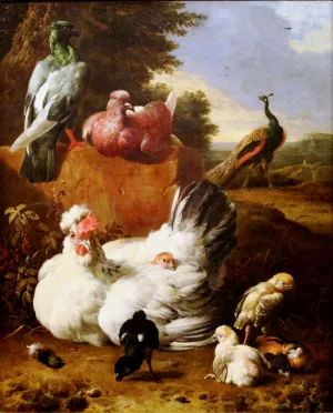 White Hen by Melchior De Hondecoeter - Oil Painting Reproduction