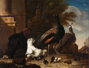 A Hen with Peacocks and a Turkey by Melchior D'Hondecoeter Oil Painting