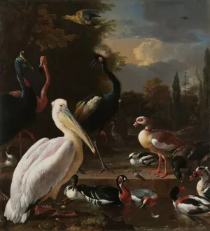 A Pelican and other Birds near a Pool, Known as 'The Floating Feather' by Melchior D'Hondecoeter Oil Painting