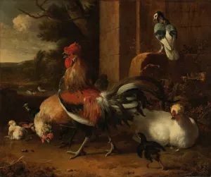 A Poultry Yard by Melchior D'Hondecoeter Oil Painting