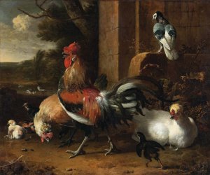 A Poultry Yard by Melchior D'Hondecoeter Oil Painting