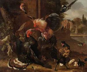 A Rooster and Turkey Fighting by Melchior D'Hondecoeter Oil Painting