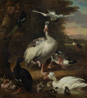 Birds by Melchior D'Hondecoeter Oil Painting