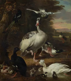 Birds by Melchior D'Hondecoeter Oil Painting