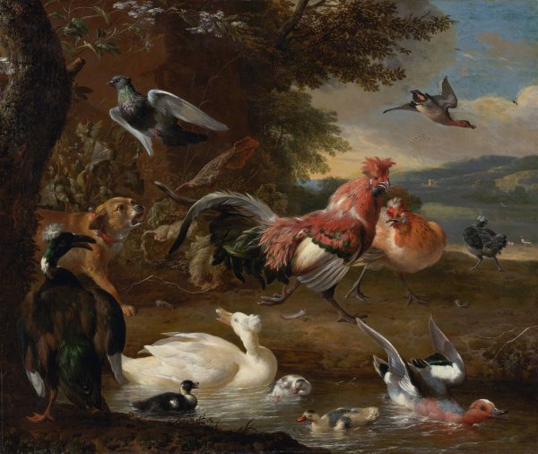 Chickens and Ducks  by Melchior D'Hondecoeter - Hand-Painted Oil Painting Reproduction