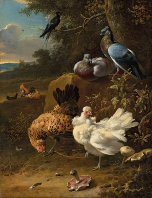 Chickens and pigeons in a landscape by Melchior D'Hondecoeter Oil Painting