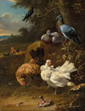 Chickens and pigeons in a landscape by Melchior D'Hondecoeter Oil Painting