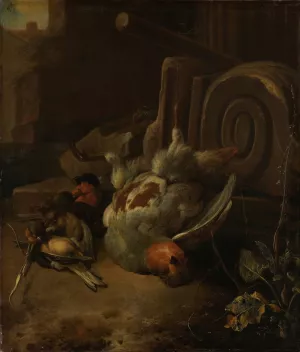 Dead Birds by Melchior D'Hondecoeter Oil Painting