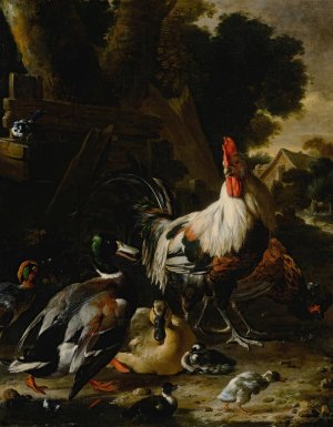 Ducks, hens and other fowl in a yard by Melchior D'Hondecoeter Oil Painting