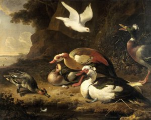 Ducks by Melchior D'Hondecoeter Oil Painting