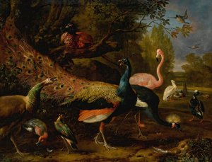 Exotic fowl, including a peacock and peahen, flamingo, African crane, pheasant, and lapwing, shoveller, pelican and tufted duck by Melchior D'Hondecoeter Oil Painting