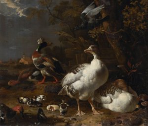 Geese and Ducks by Melchior D'Hondecoeter Oil Painting