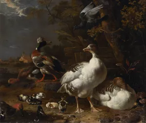 Geese and Ducks by Melchior D'Hondecoeter Oil Painting
